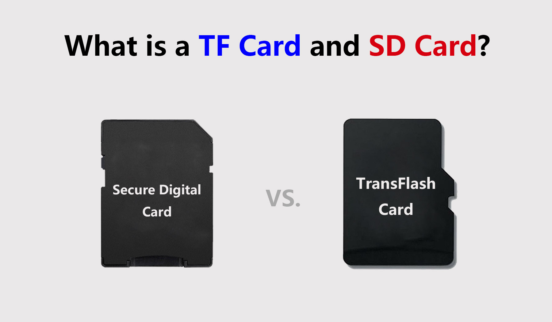 What is a TF Card and SD Card