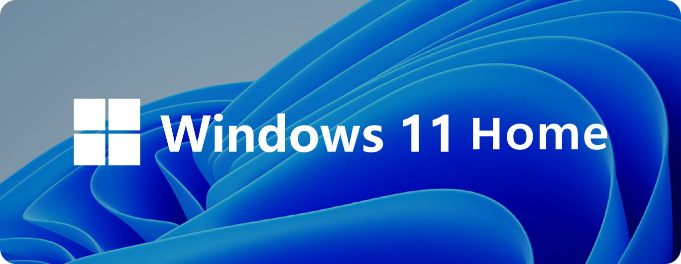 Windows 11