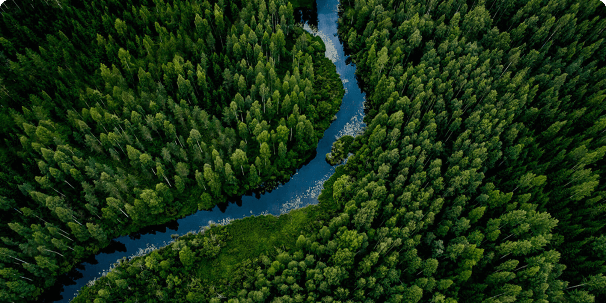 Responsabilité environnementale du fournisseur