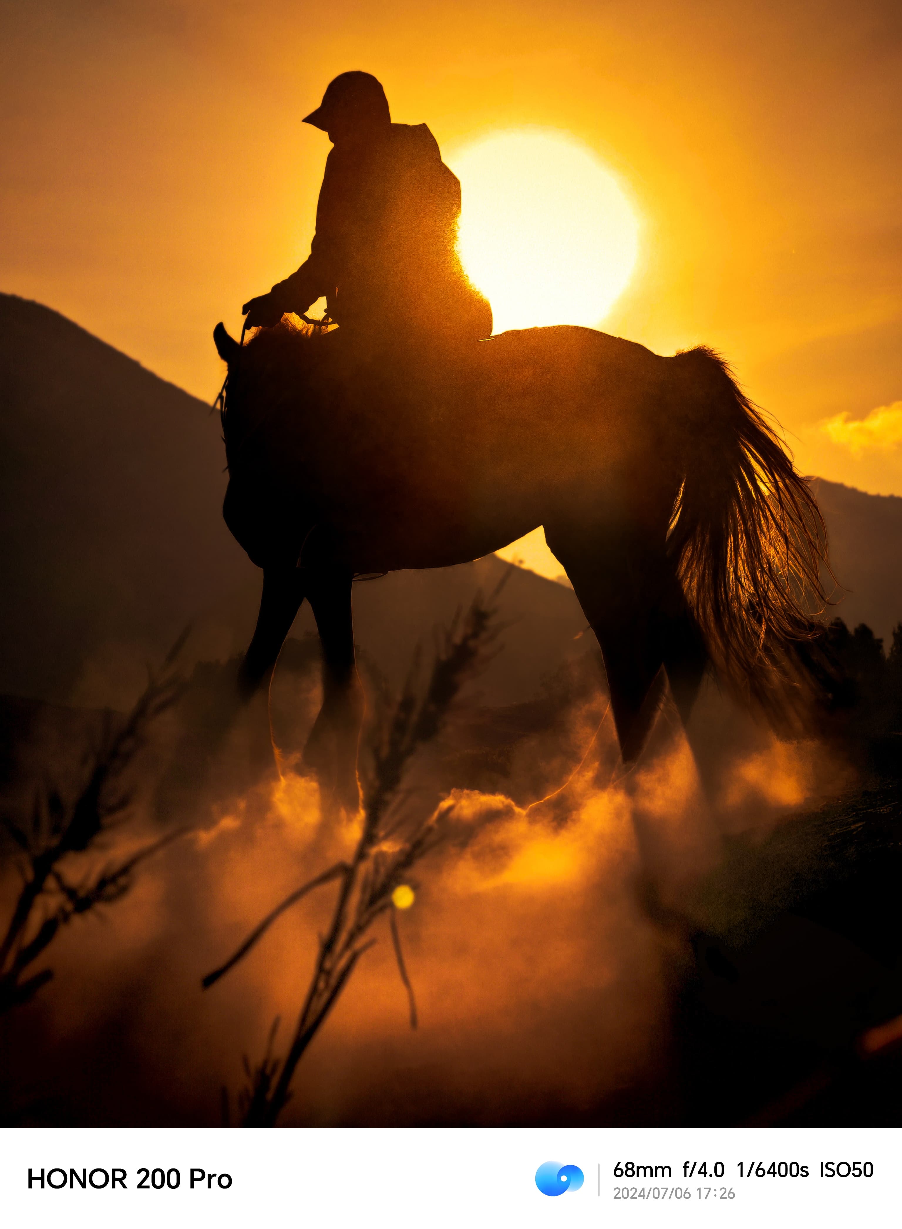 Handling Horse and Sunset