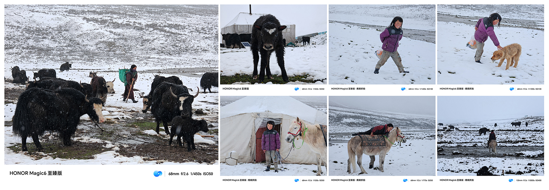 An Ordinary Family Living on the Plateau