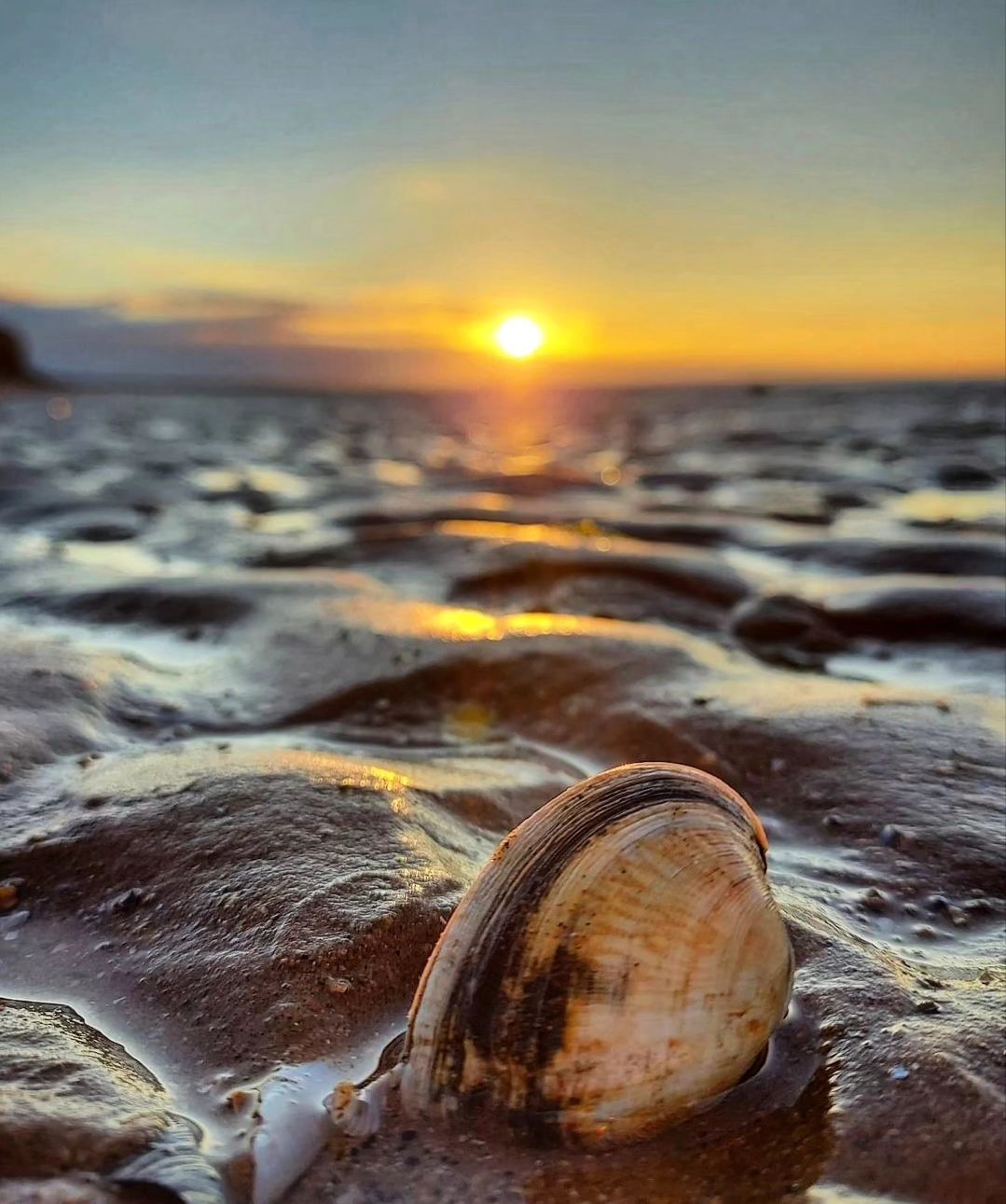 El corazón del Mar 