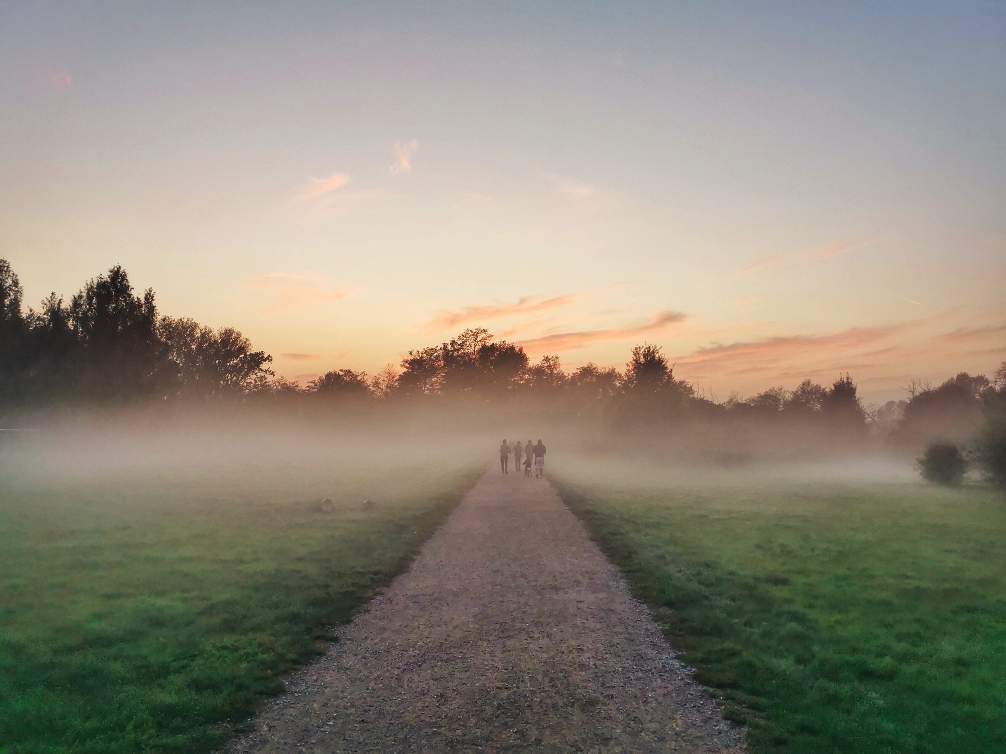 Persi nella nebbia