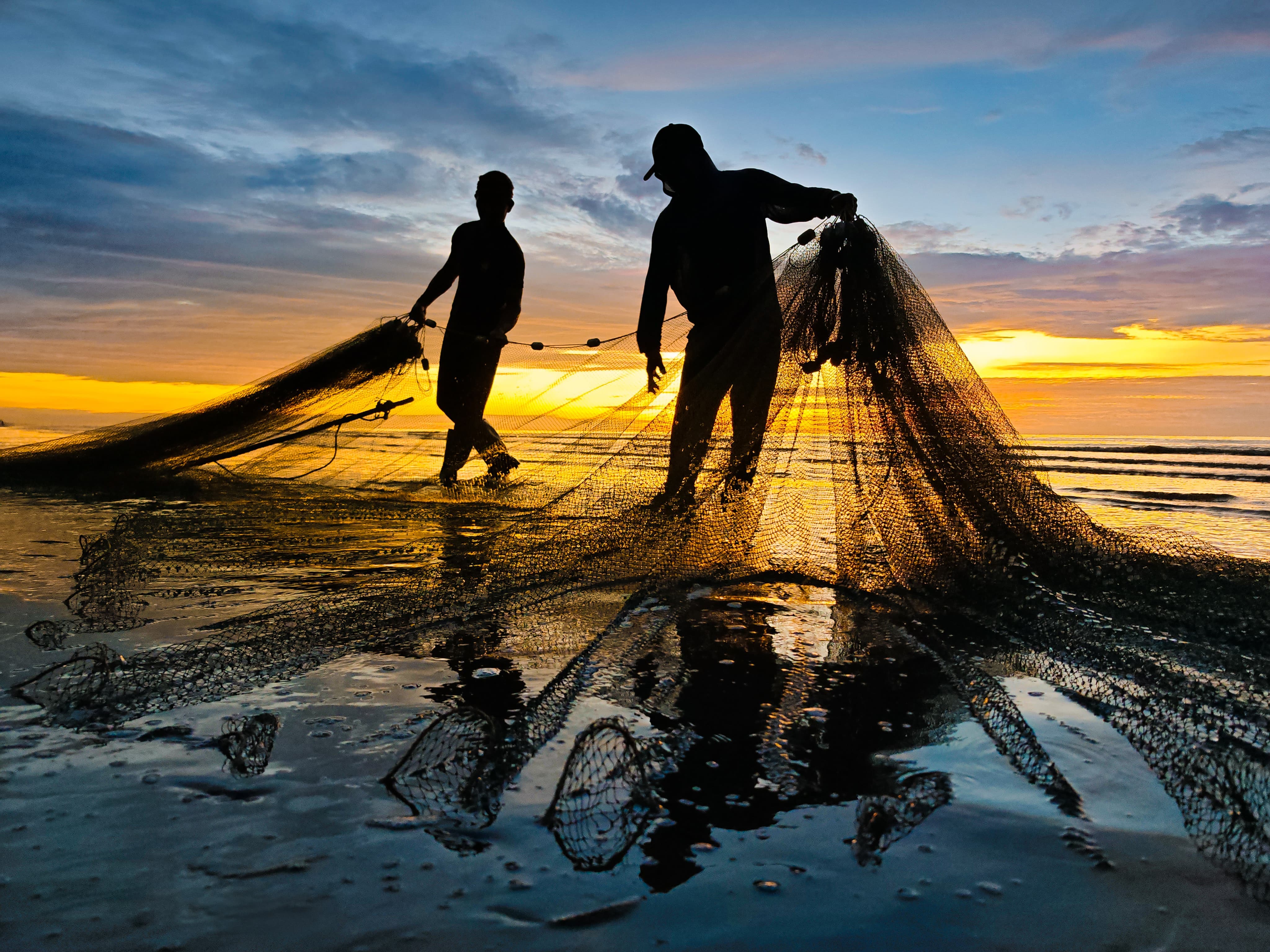 Casting the Sunset