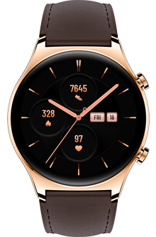 HONOR Watch GS 3